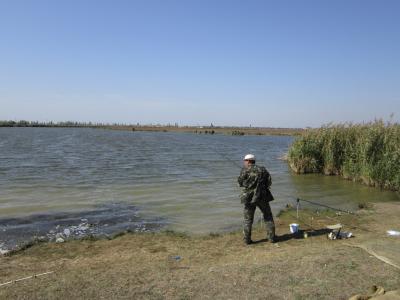 Прикрепленное изображение: IMG_0316.JPG